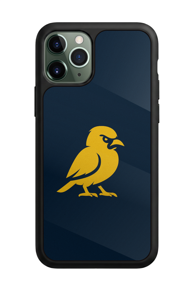 iPhone 11 Pro Max Uyumlu Fenerbahce Tasarımlı Glossy Premium Kılıf