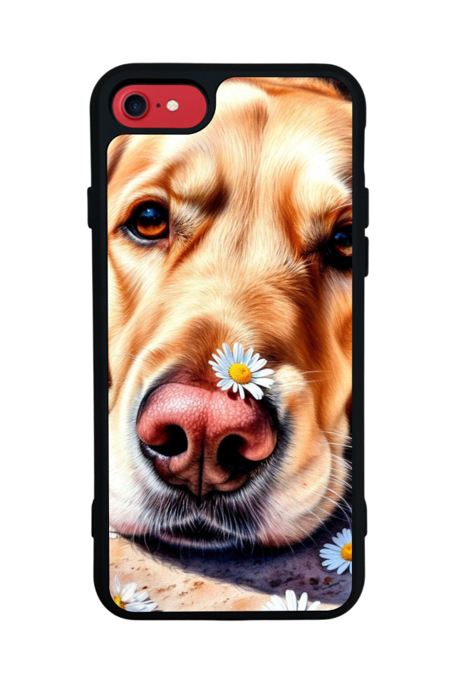 iPhone 8 Uyumlu Golden Kopek Tasarımlı Glossy Premium Kılıf