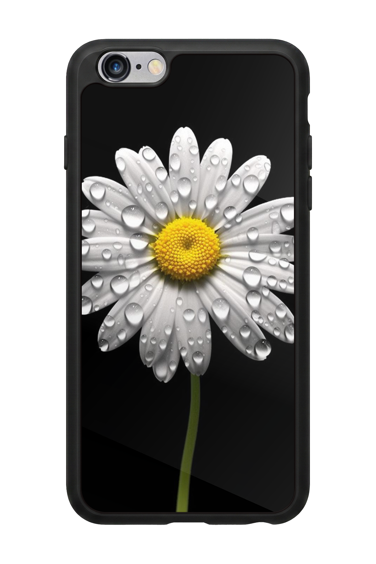 iPhone 6 Plus Uyumlu Papatya Tasarımlı Glossy Premium Kılıf