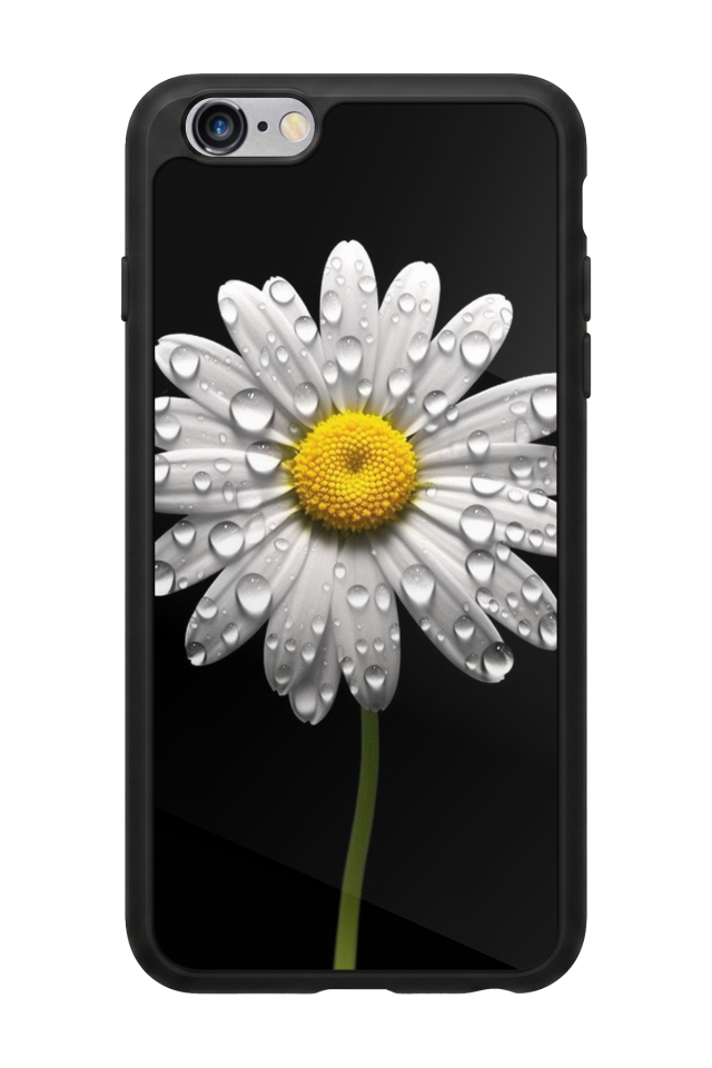 iPhone 6 Plus Uyumlu Papatya Tasarımlı Glossy Premium Kılıf