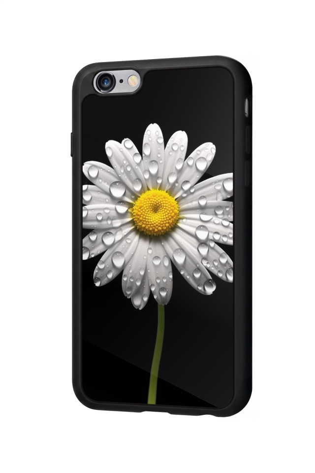 iPhone 6 Plus Uyumlu Papatya Tasarımlı Glossy Premium Kılıf