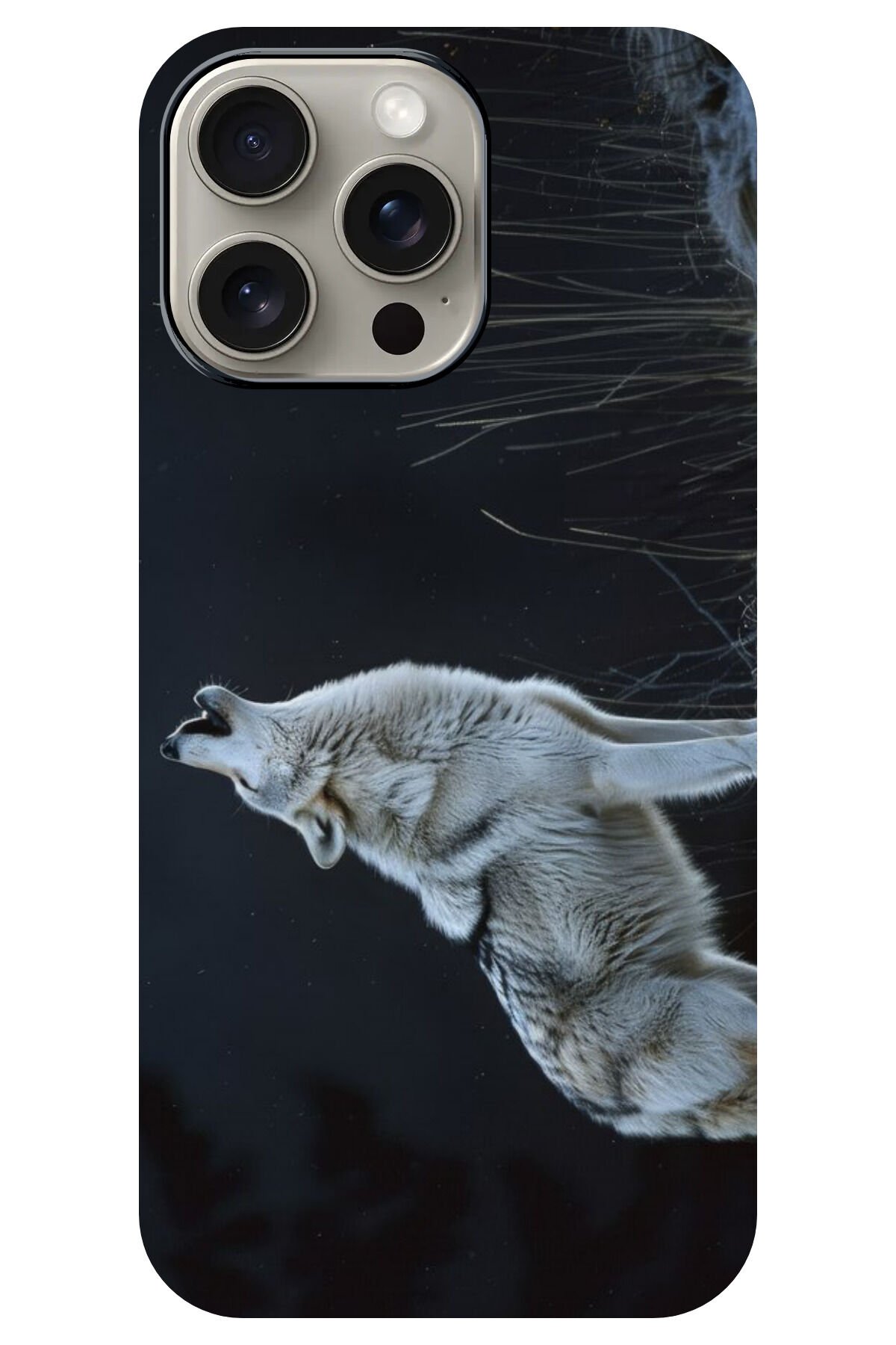 Apple iPhone 16 Pro Siyah Silikon Kılıf Çiziklere ve Darbelere Karşı Koruma