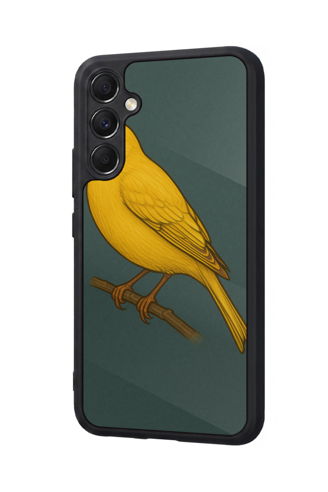 Samsung Galaxy M34 Uyumlu Fenerbahce Tasarımlı Glossy Premium Kılıf