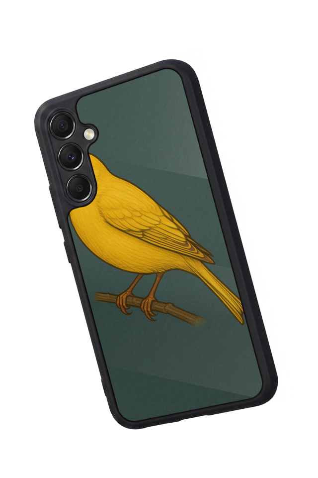 Samsung Galaxy M34 Uyumlu Fenerbahce Tasarımlı Glossy Premium Kılıf