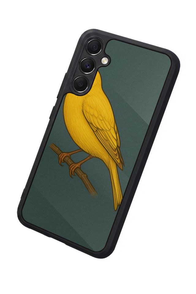 Samsung Galaxy M34 Uyumlu Fenerbahce Tasarımlı Glossy Premium Kılıf