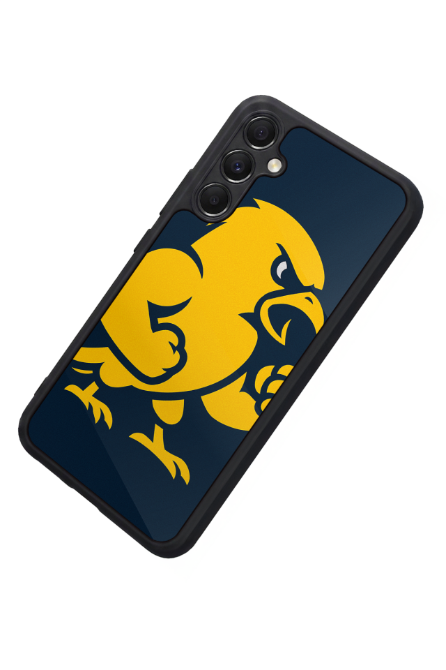 Samsung Galaxy M34 Uyumlu Fenerbahce Tasarımlı Glossy Premium Kılıf