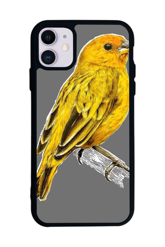 iPhone 11 Uyumlu Fenerbahce Tasarımlı Glossy Premium Kılıf
