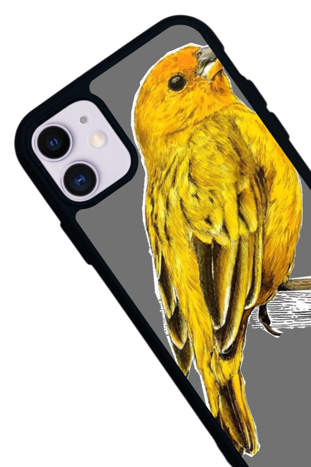 iPhone 11 Uyumlu Fenerbahce Tasarımlı Glossy Premium Kılıf