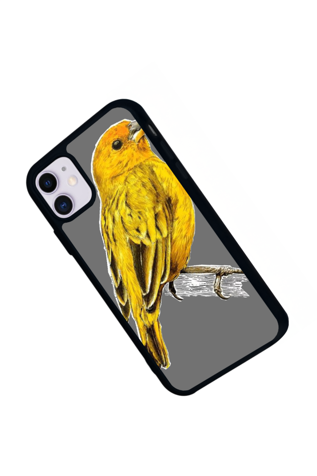 iPhone 11 Uyumlu Fenerbahce Tasarımlı Glossy Premium Kılıf