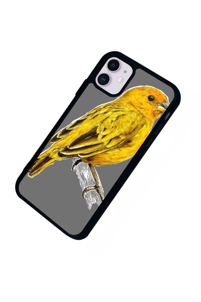 iPhone 11 Uyumlu Fenerbahce Tasarımlı Glossy Premium Kılıf