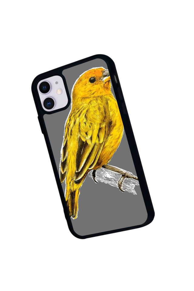 iPhone 11 Uyumlu Fenerbahce Tasarımlı Glossy Premium Kılıf