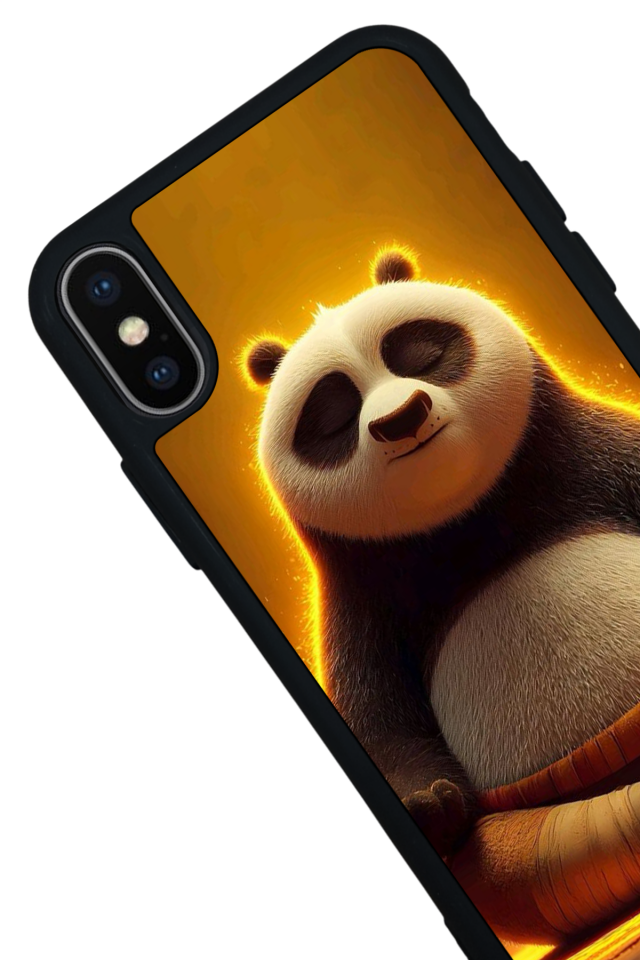 iPhone X/ XS Uyumlu Kung Fu Panda Tasarımlı Glossy Premium Kılıf