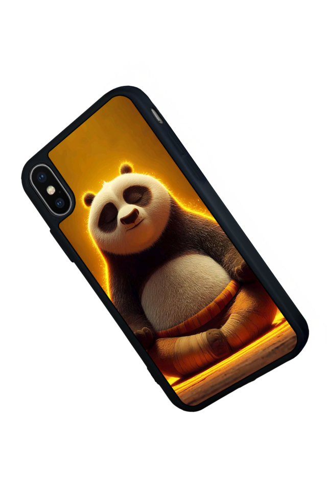iPhone X/ XS Uyumlu Kung Fu Panda Tasarımlı Glossy Premium Kılıf