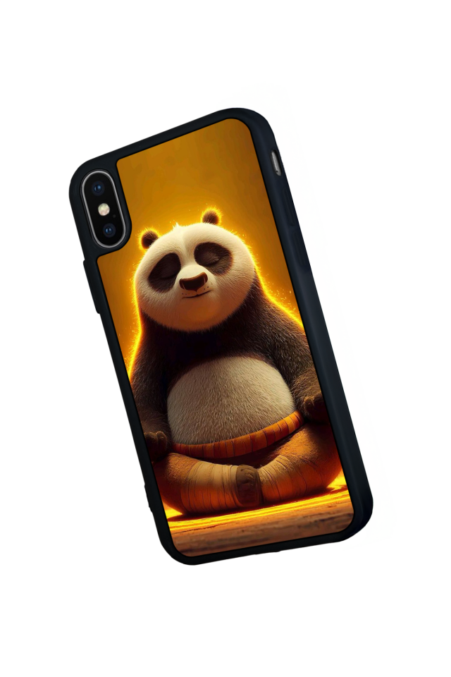 iPhone X/ XS Uyumlu Kung Fu Panda Tasarımlı Glossy Premium Kılıf