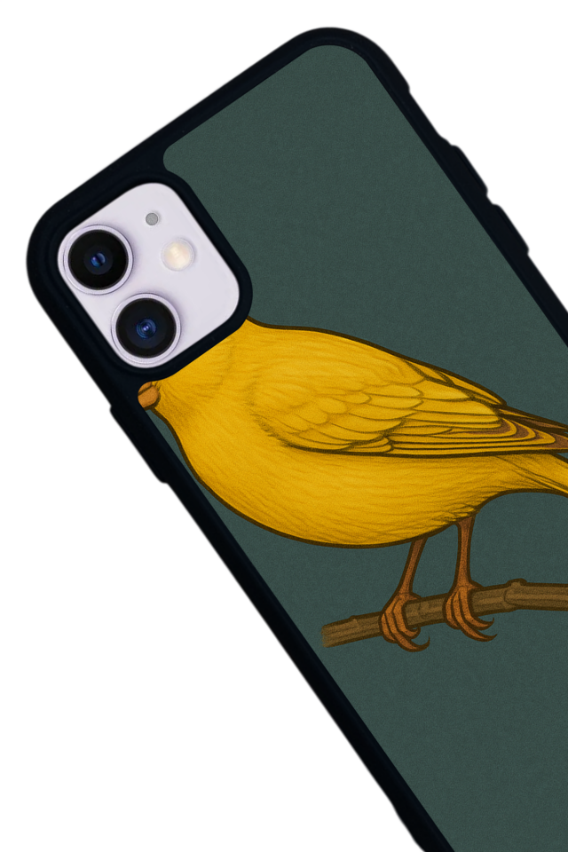 iPhone 11 Uyumlu Fenerbahce Tasarımlı Glossy Premium Kılıf