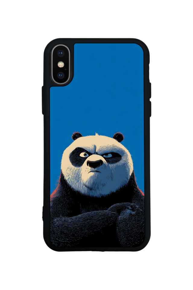 iPhone X/ XS Uyumlu Kung Fu Panda Tasarımlı Glossy Premium Kılıf