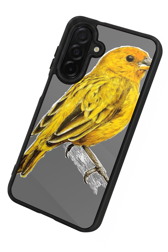 Samsung Galaxy A26 Uyumlu Fenerbahce Tasarımlı Glossy Premium Kılıf