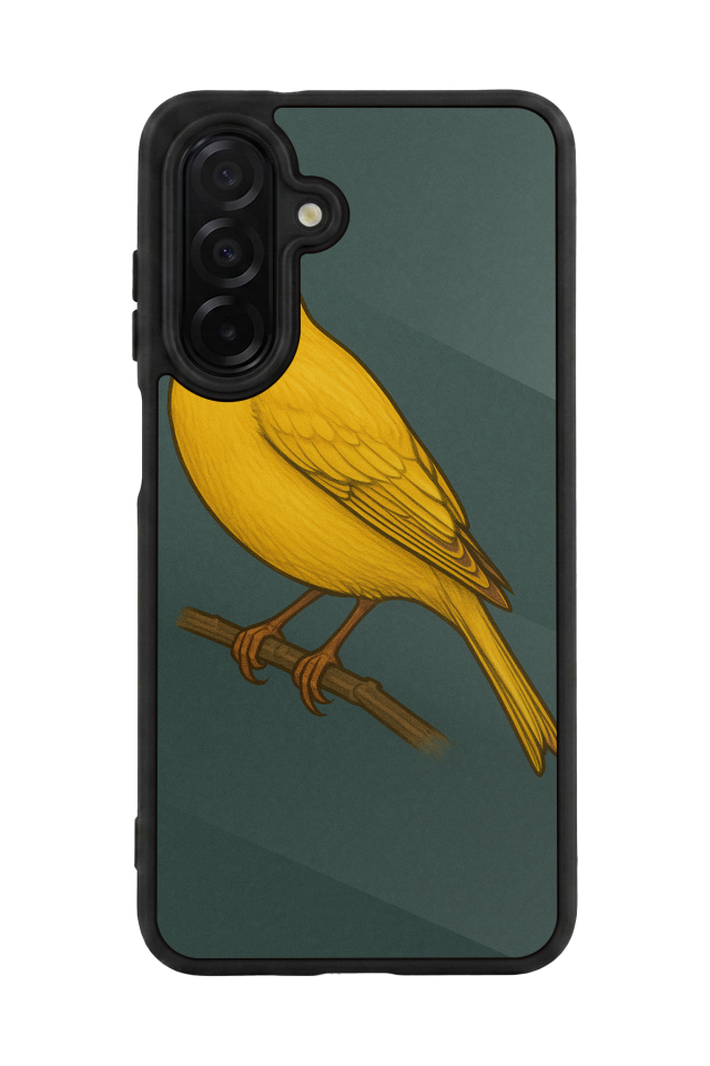 Samsung Galaxy A26 Uyumlu Fenerbahce Tasarımlı Glossy Premium Kılıf