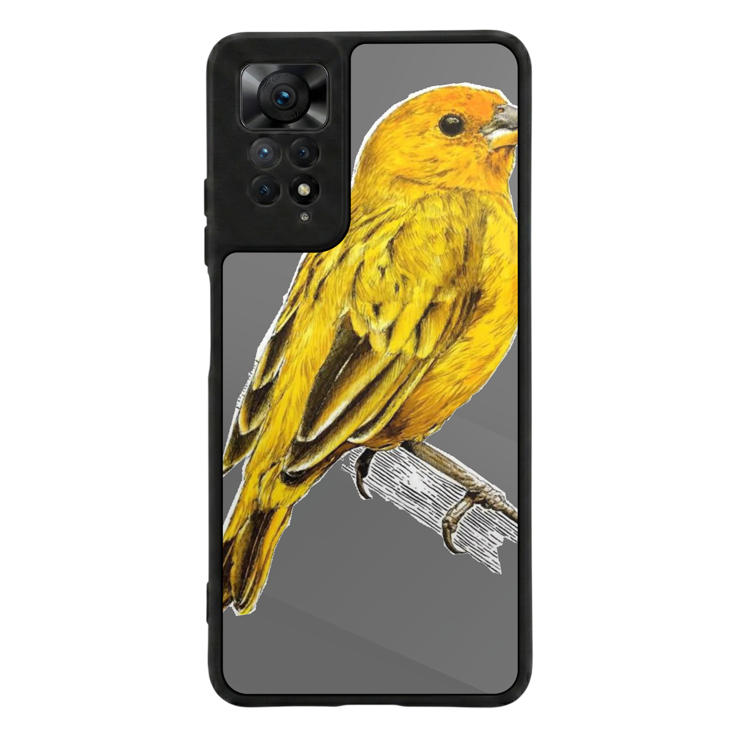 Xiaomi Redmi Note 12 Pro Uyumlu Aslan Tasarımlı Glossy Premium Kılıf