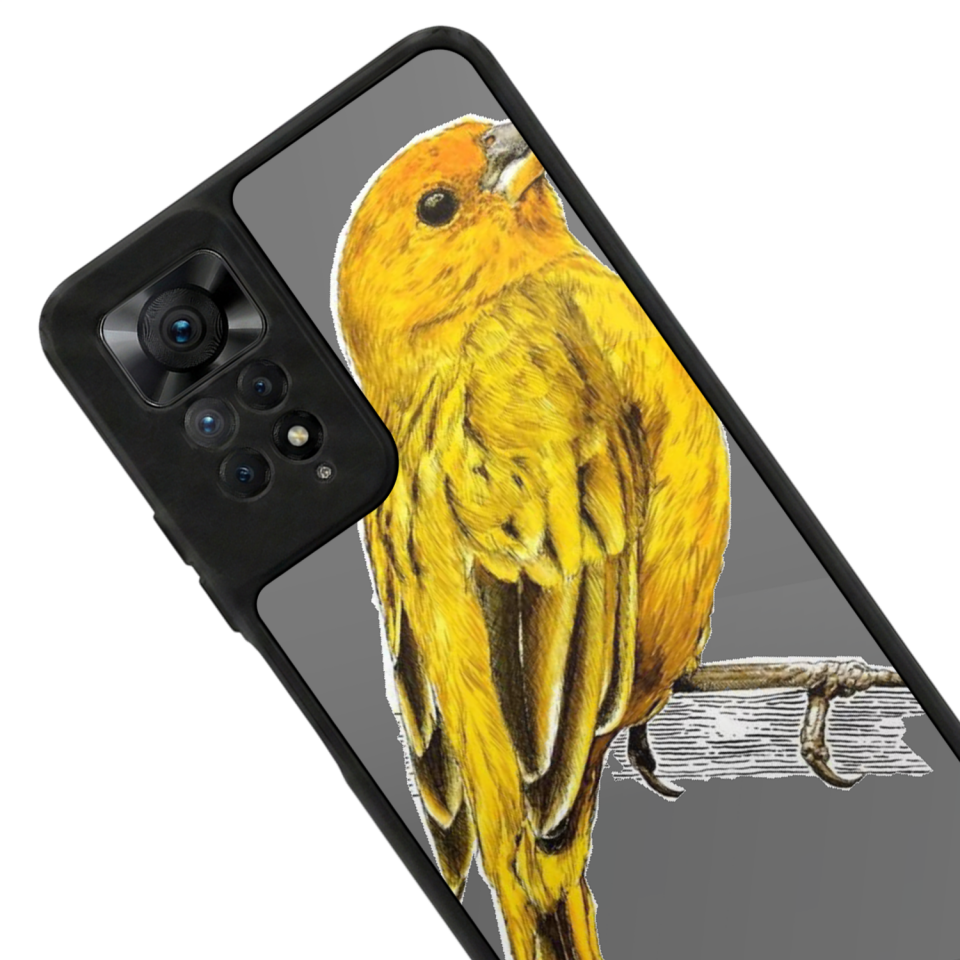 Xiaomi Redmi Note 12 Pro Uyumlu Aslan Tasarımlı Glossy Premium Kılıf