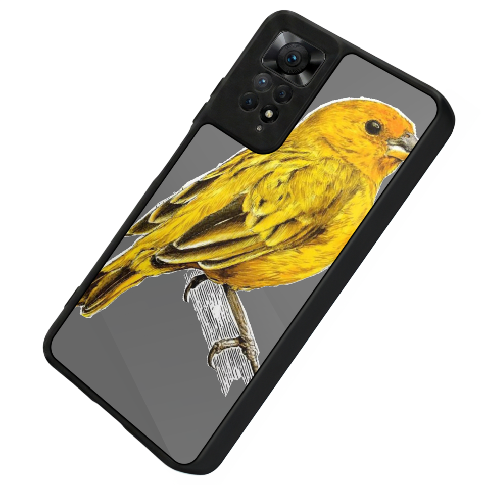 Xiaomi Redmi Note 12 Pro Uyumlu Aslan Tasarımlı Glossy Premium Kılıf