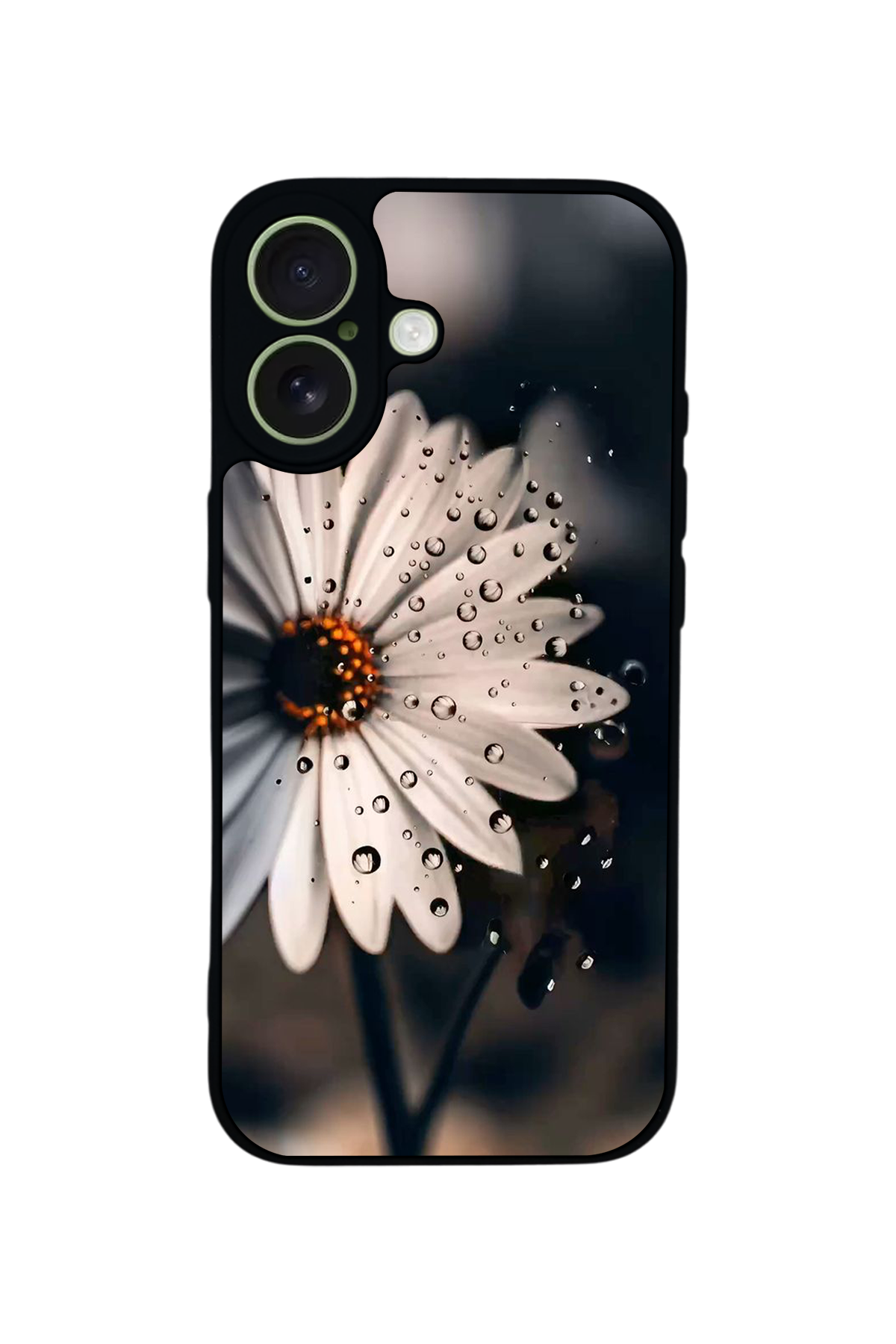 iPhone 17 Uyumlu Cicek Tasarımlı Glossy Premium Kılıf