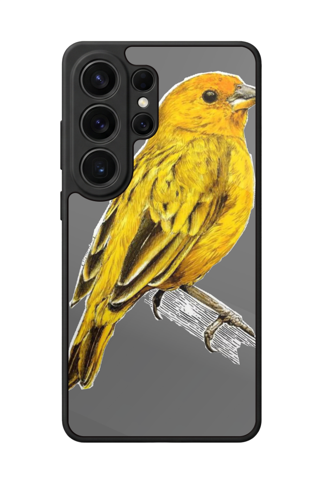 Samsung Galaxy S26 Ultra Uyumlu Fenerbahce Tasarımlı Glossy Premium Kılıf