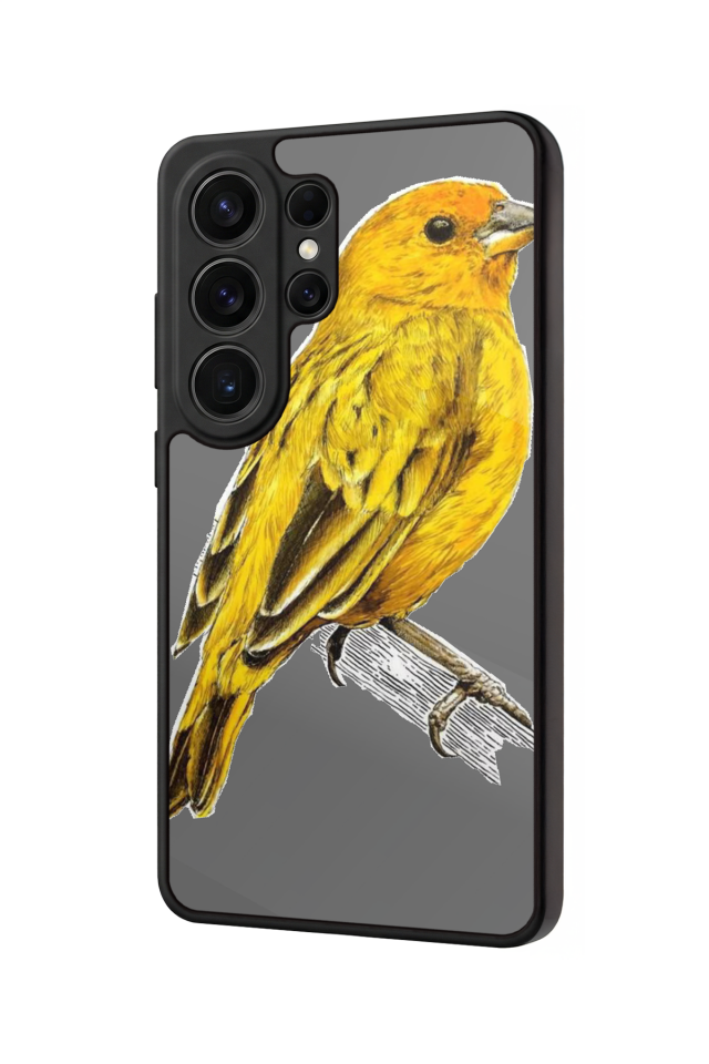 Samsung Galaxy S26 Ultra Uyumlu Fenerbahce Tasarımlı Glossy Premium Kılıf