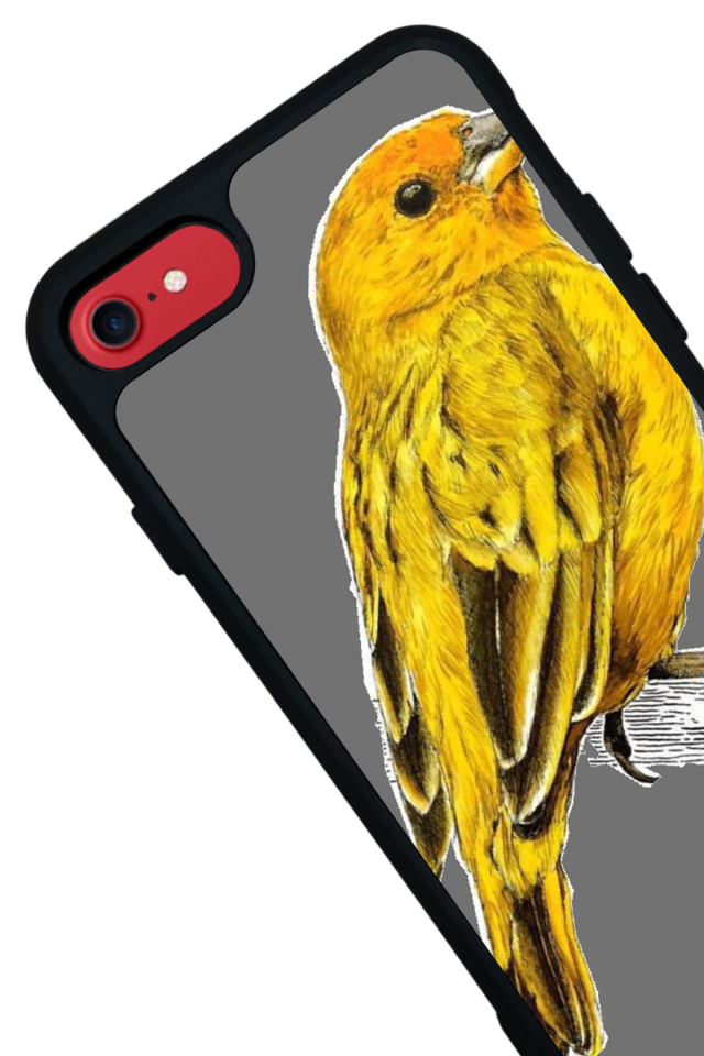 iPhone 8 Uyumlu Fenerbahce Tasarımlı Glossy Premium Kılıf