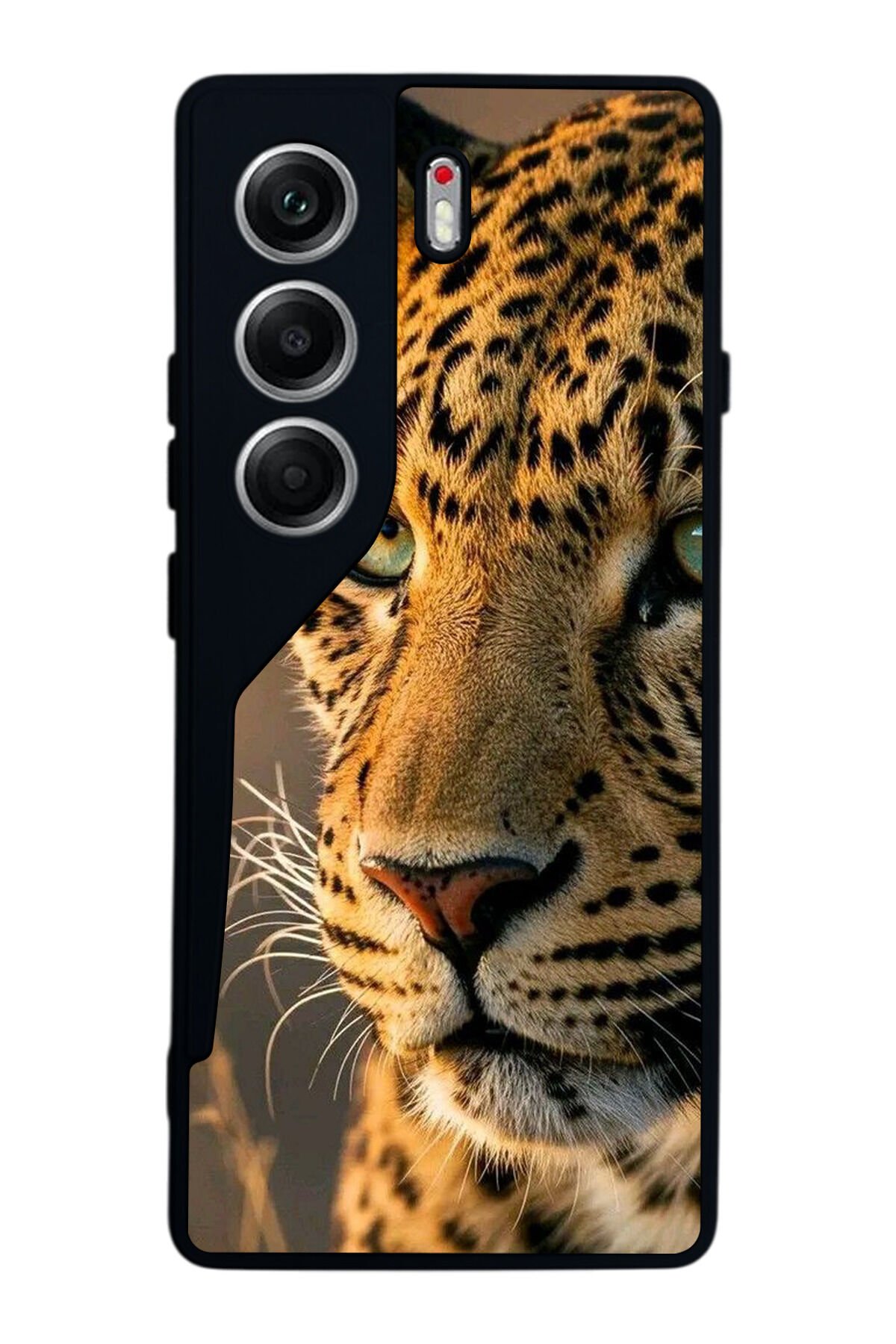 Tecno Camon 40 Uyumlu Cita Tasarımlı Glossy Premium Kılıf