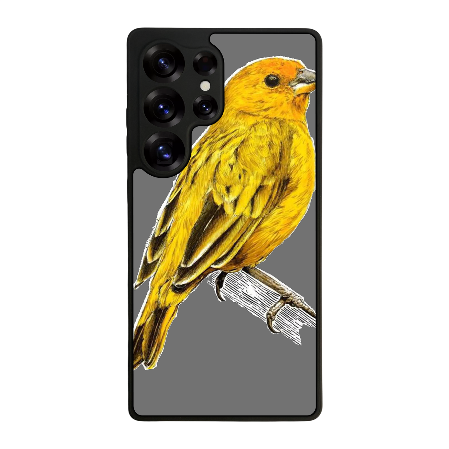 Samsung Galaxy S25 Ultra Uyumlu Fenerbahce Tasarımlı Glossy Premium Kılıf