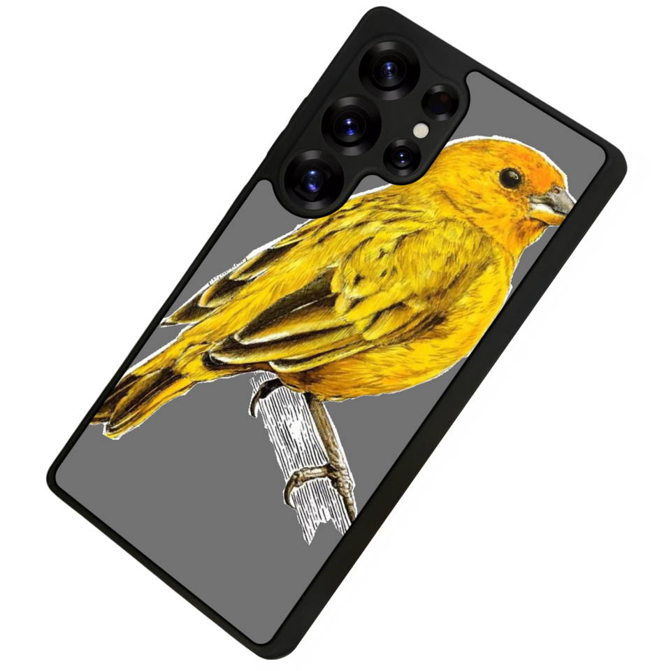 Samsung Galaxy S25 Ultra Uyumlu Fenerbahce Tasarımlı Glossy Premium Kılıf