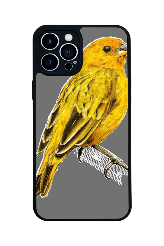 iPhone 12 Pro Max Uyumlu Fenerbahce Tasarımlı Glossy Premium Kılıf