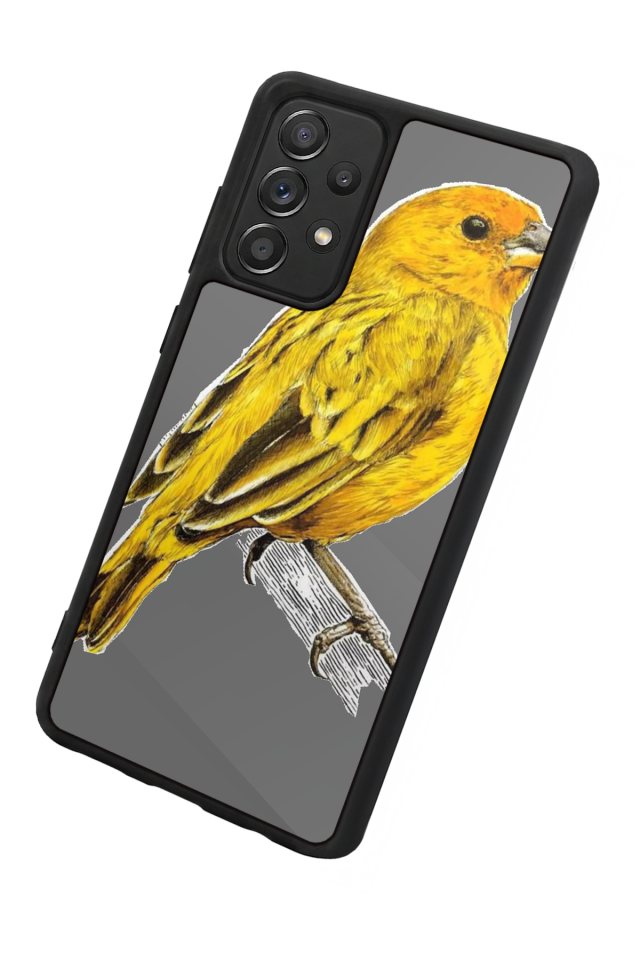 Samsung Galaxy A72 Uyumlu Fenerbahce Tasarımlı Glossy Premium Kılıf