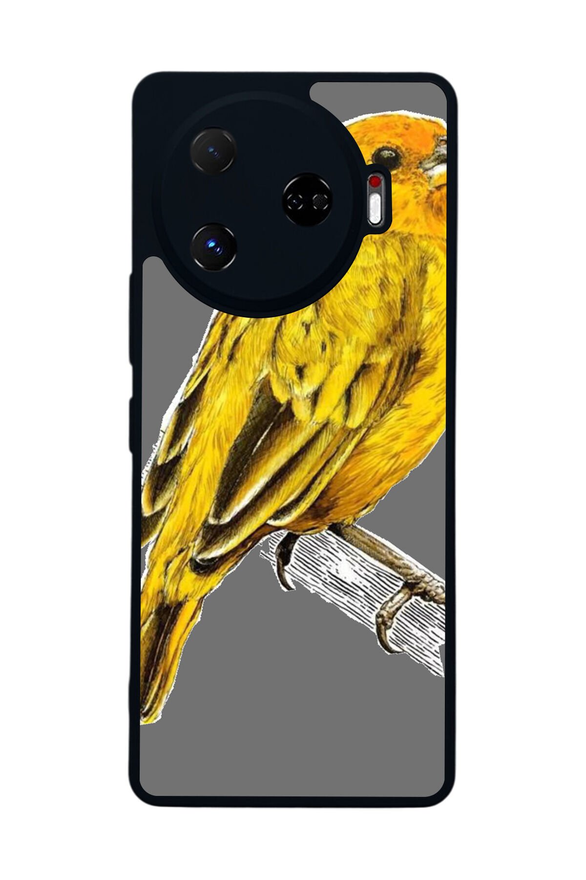 Tecno Camon 30 Pro Uyumlu Fenerbahce Tasarımlı Glossy Premium Kılıf