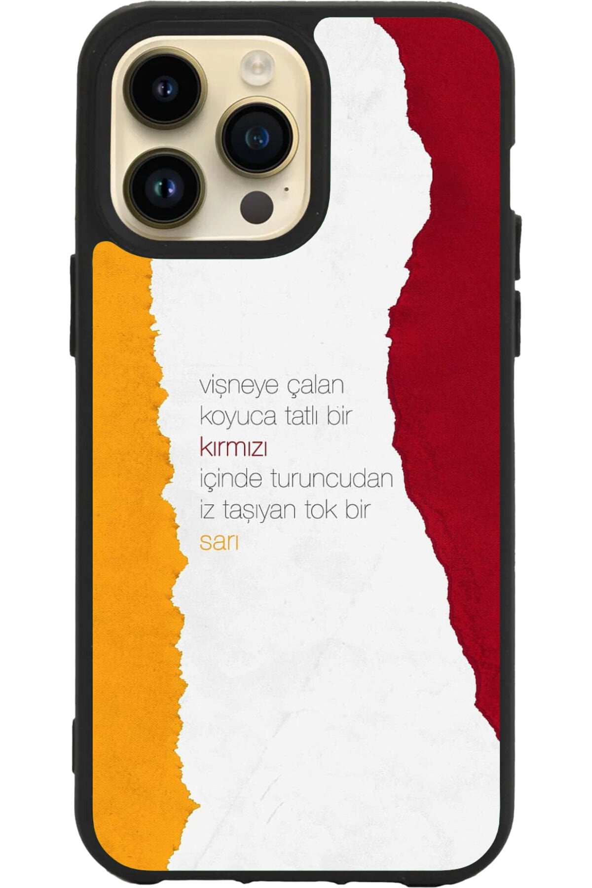Apple iPhone 16 Pro Siyah Silikon Kılıf Çiziklere ve Darbelere Karşı Koruma