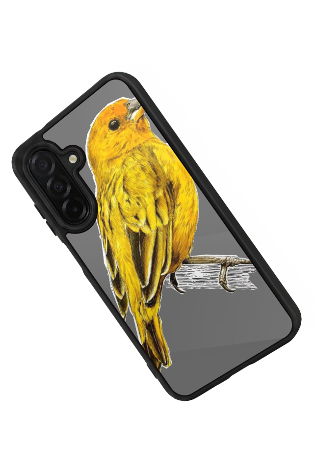 Samsung Galaxy A36 Uyumlu Fenerbahce Tasarımlı Glossy Premium Kılıf