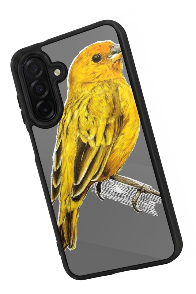 Samsung Galaxy A36 Uyumlu Fenerbahce Tasarımlı Glossy Premium Kılıf