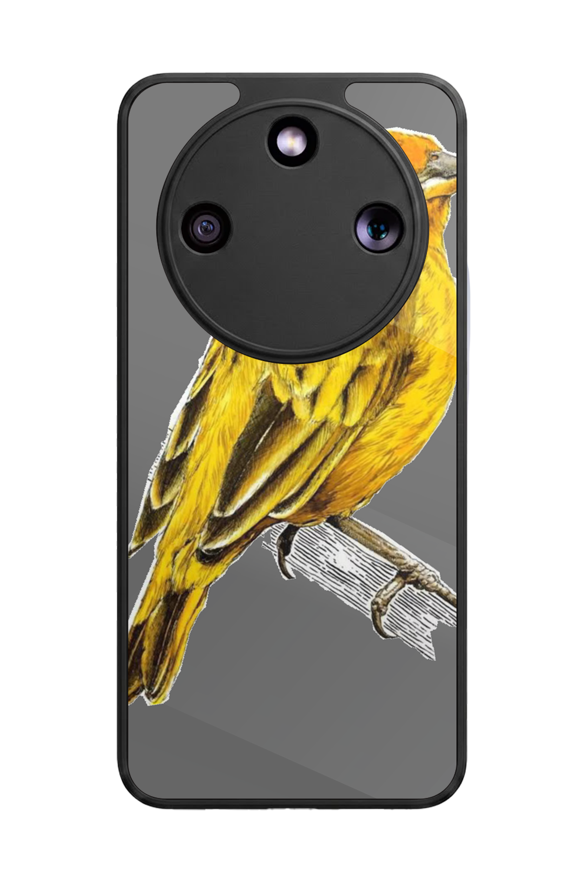 Honor Magic 8 Lite Uyumlu Aslan Tasarımlı Glossy Premium Kılıf