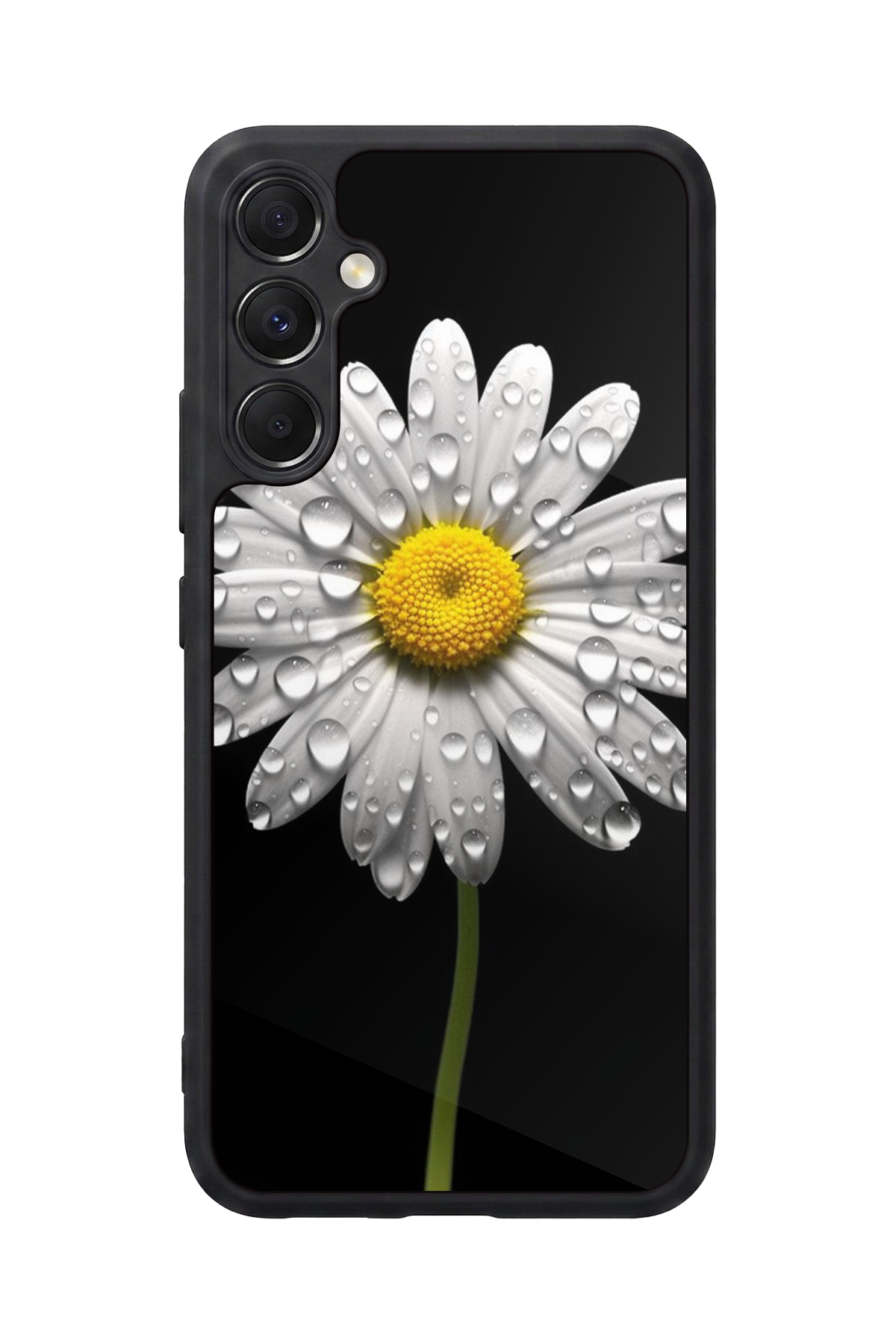 Samsung Galaxy M34 Uyumlu Papatya Tasarımlı Glossy Premium Kılıf