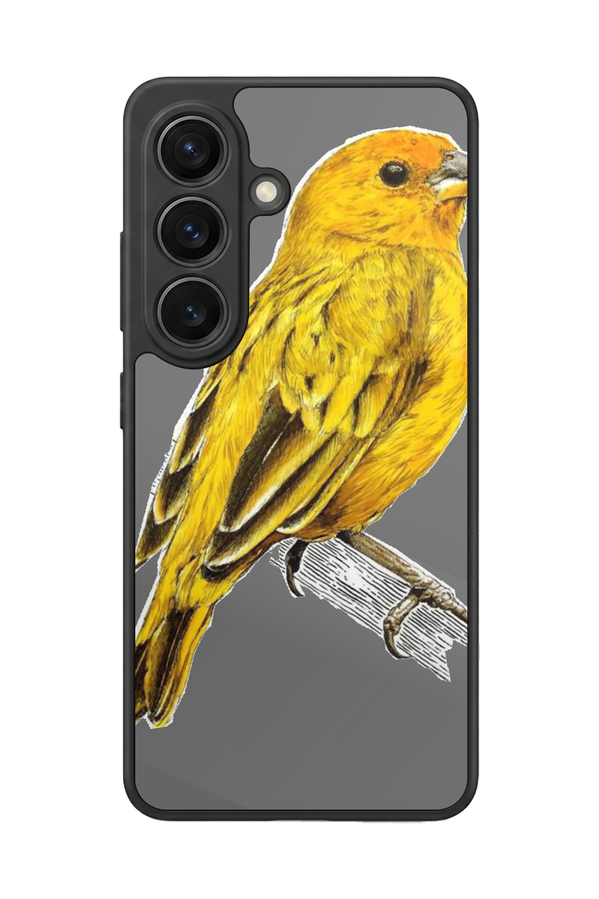 Samsung Galaxy S26 Uyumlu Fenerbahce Tasarımlı Glossy Premium Kılıf