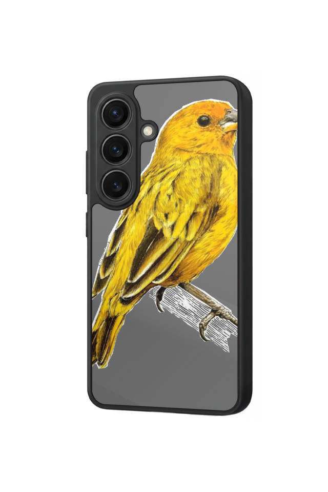 Samsung Galaxy S26 Uyumlu Fenerbahce Tasarımlı Glossy Premium Kılıf