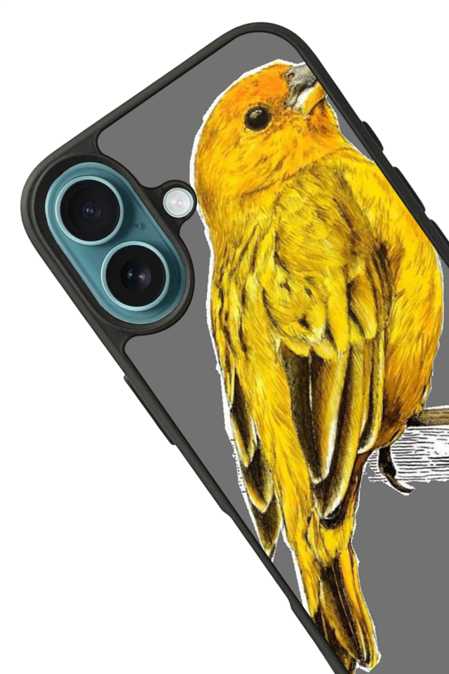 iPhone 16 Plus Uyumlu Fenerbahce Tasarımlı Glossy Premium Kılıf