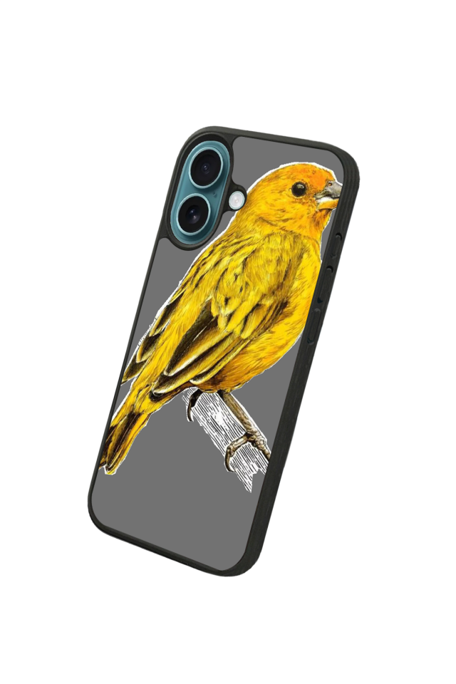 iPhone 16 Plus Uyumlu Fenerbahce Tasarımlı Glossy Premium Kılıf