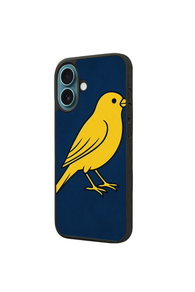 iPhone 16 Plus Uyumlu Fenerbahce Tasarımlı Glossy Premium Kılıf