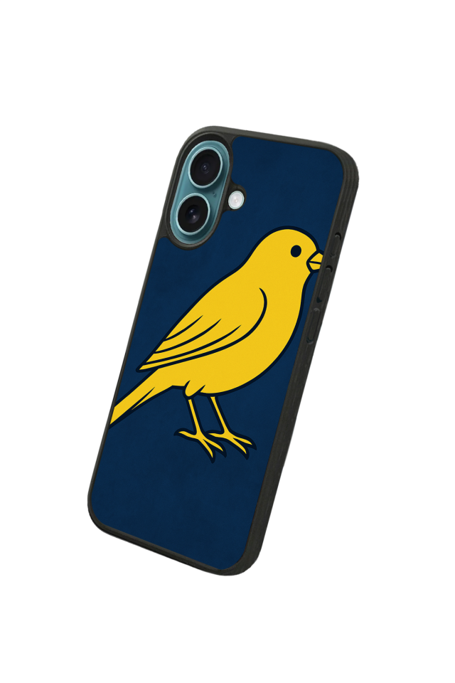 iPhone 16 Plus Uyumlu Fenerbahce Tasarımlı Glossy Premium Kılıf