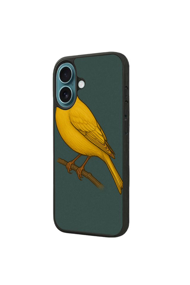 iPhone 16 Plus Uyumlu Fenerbahce Tasarımlı Glossy Premium Kılıf