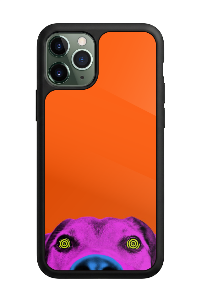 iPhone 11 Pro Uyumlu Kirmizi Tasarımlı Glossy Premium Kılıf