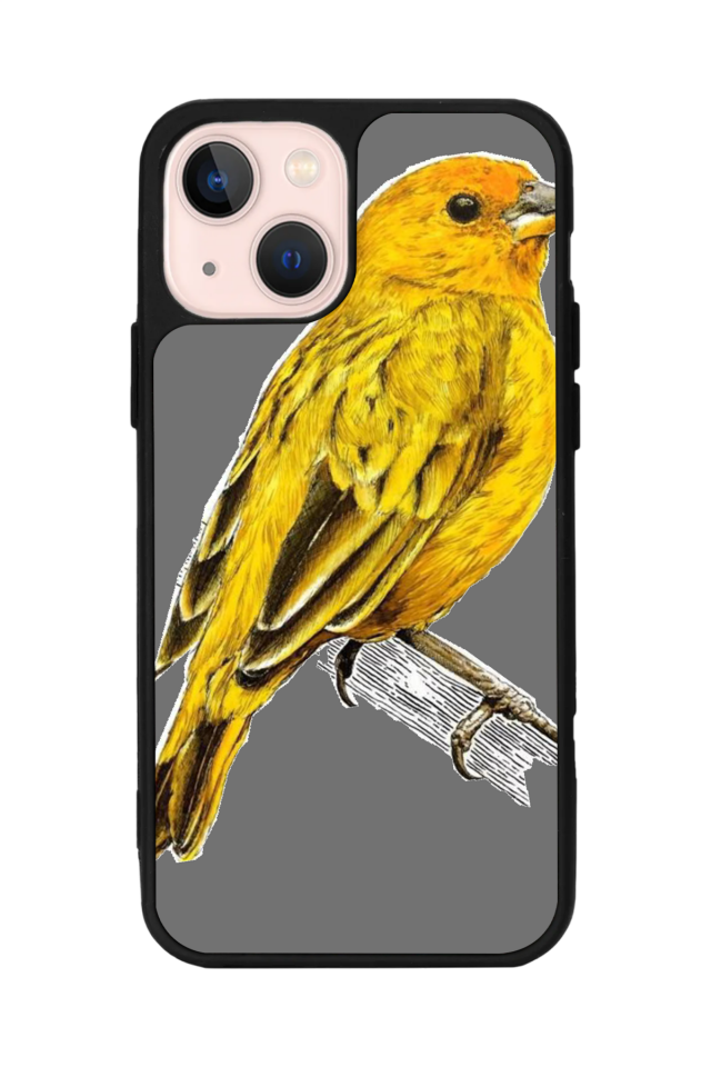 iPhone 15 Uyumlu Fenerbahce Tasarımlı Glossy Premium Kılıf