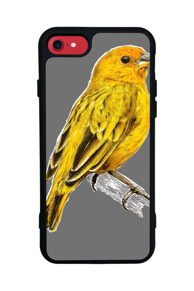 iPhone SE Uyumlu Fenerbahce Tasarımlı Glossy Premium Kılıf